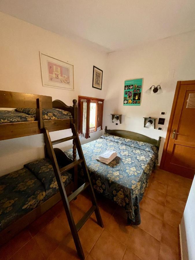 La Panoramica 89 Hotel Pescasseroli Bagian luar foto
